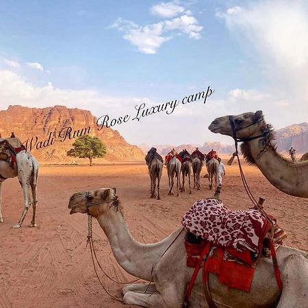 Wadi Rum Rose Luxury Camp Bagian luar foto