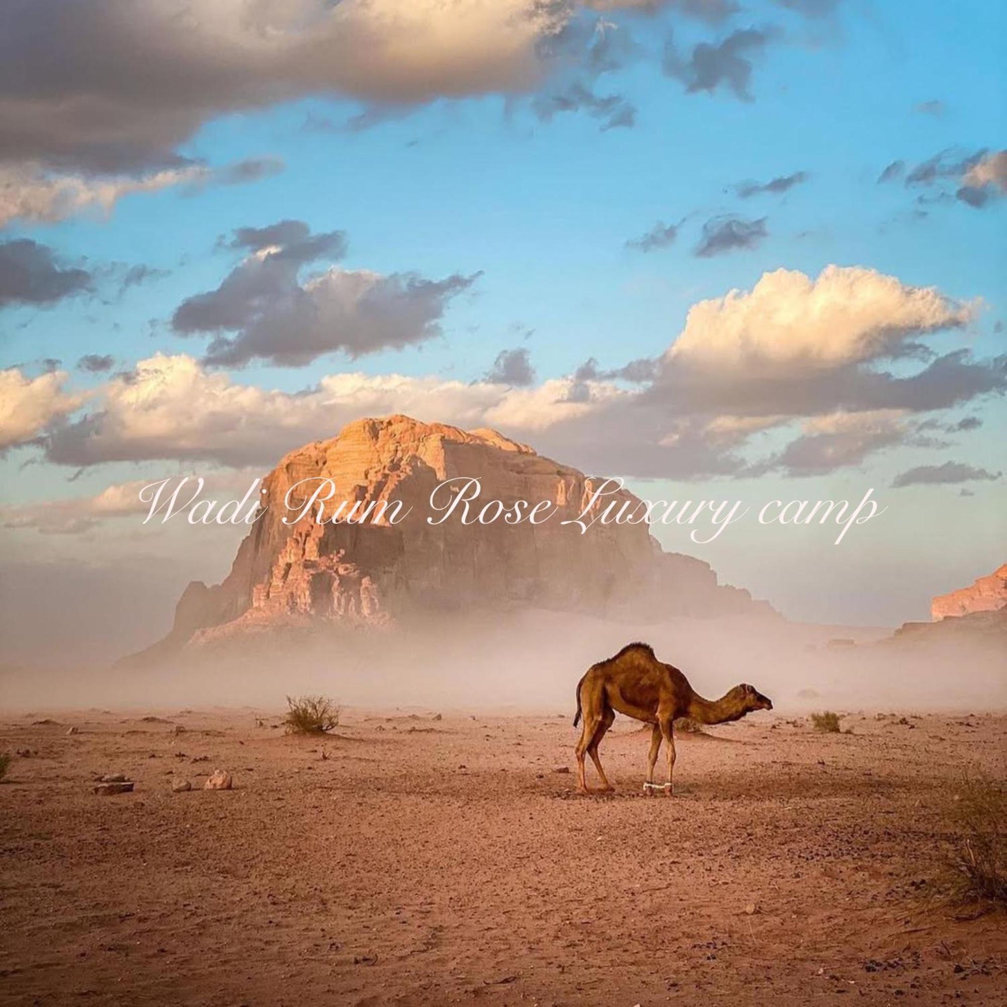 Wadi Rum Rose Luxury Camp Bagian luar foto
