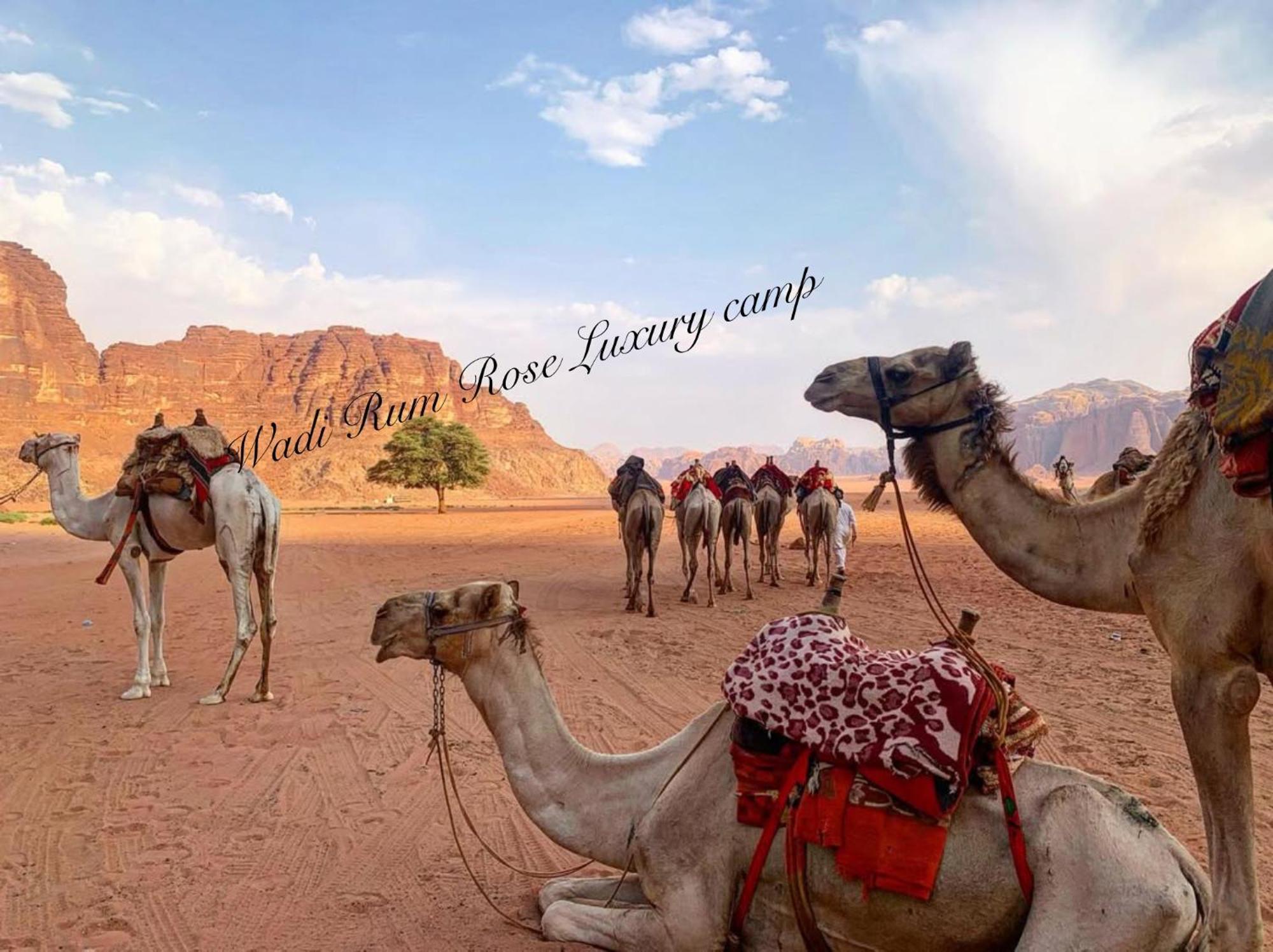 Wadi Rum Rose Luxury Camp Bagian luar foto