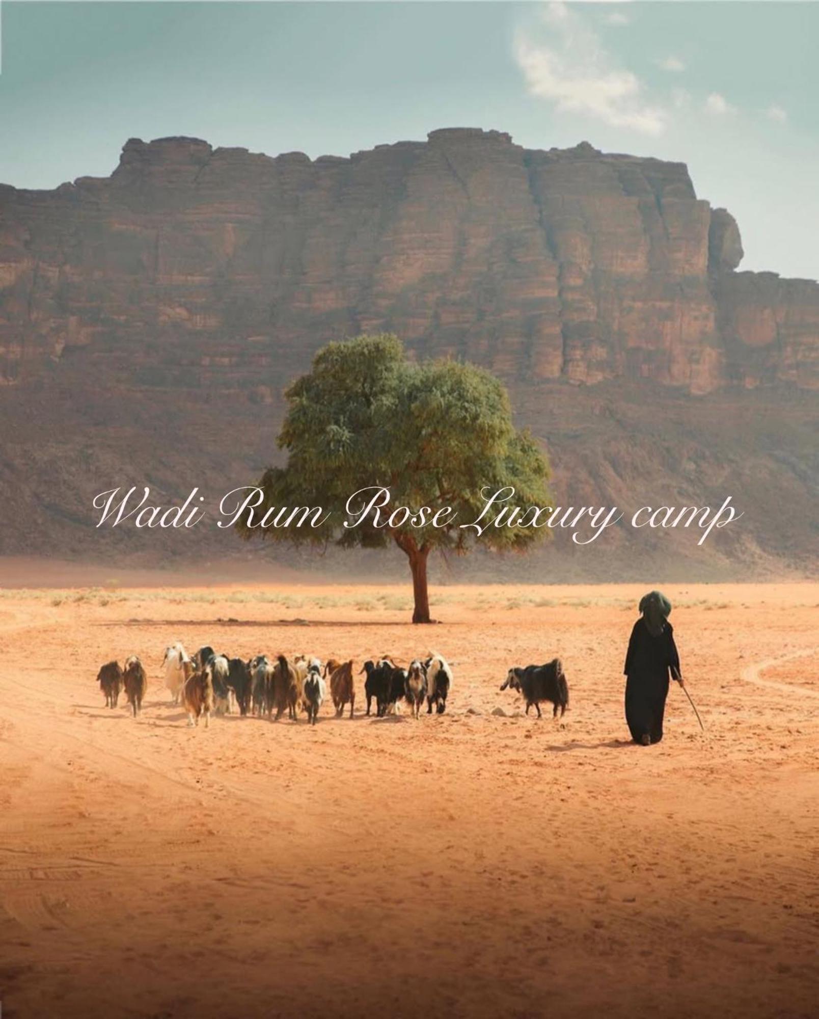 Wadi Rum Rose Luxury Camp Bagian luar foto