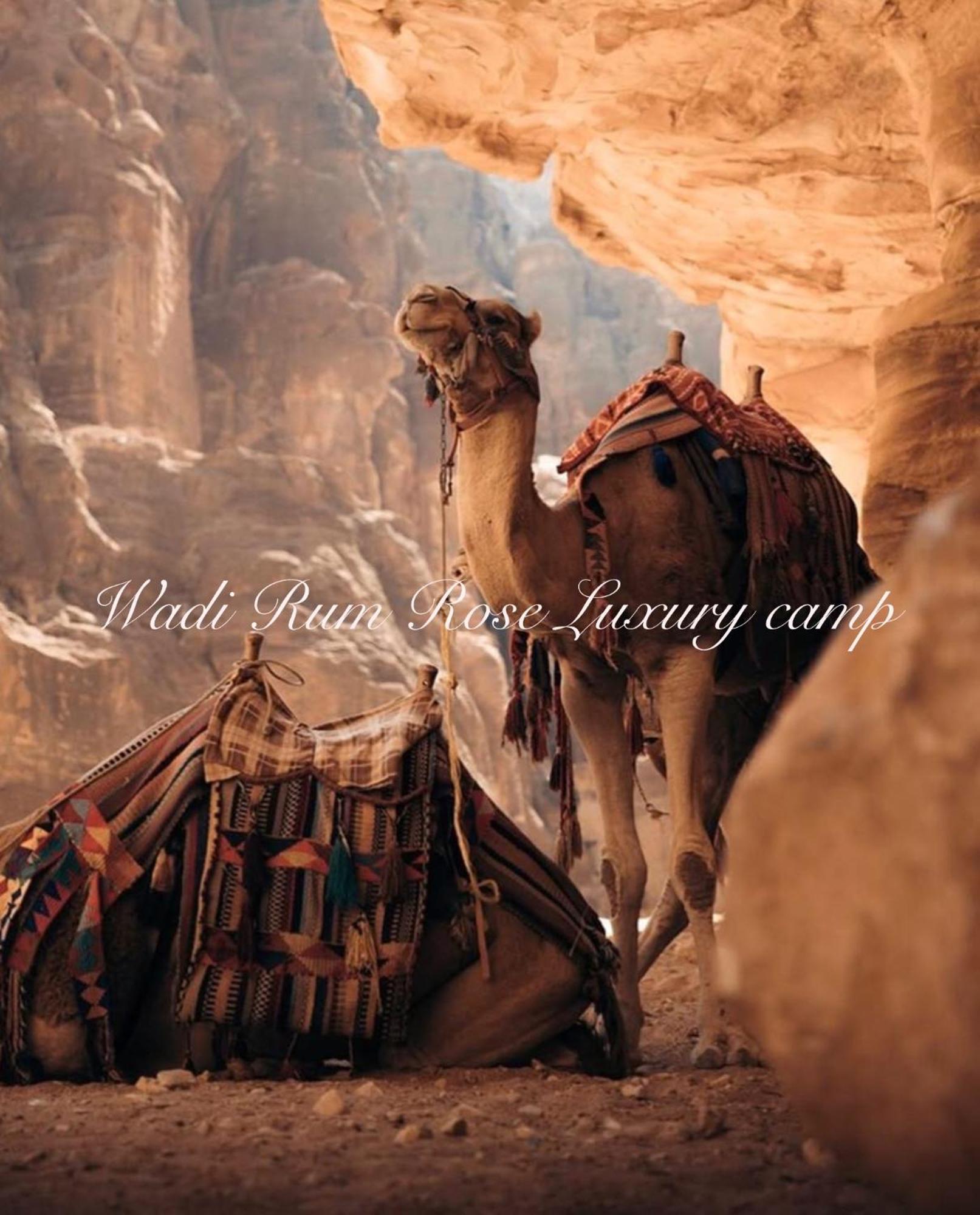Wadi Rum Rose Luxury Camp Bagian luar foto